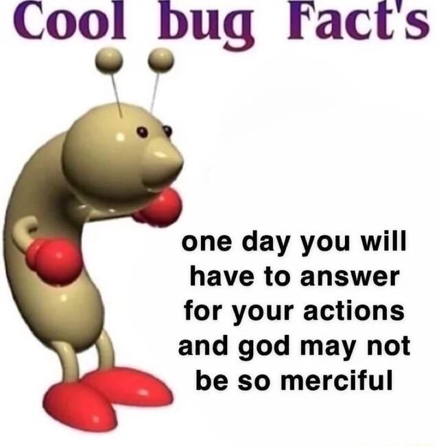 Cool bug Facts one day you will have to answer for your actions and god