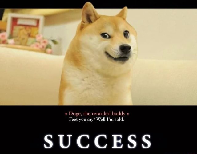 Doge, The Retarded Buddy 