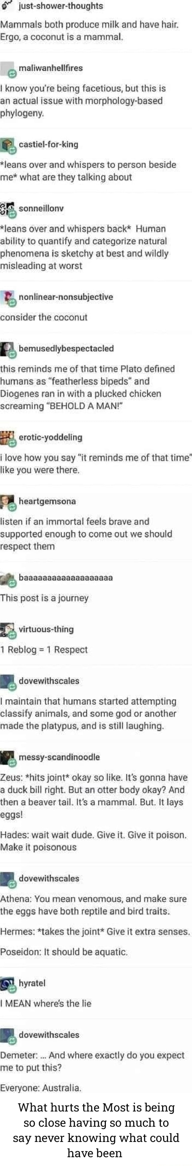 Mammals both produce milk and have hair. Ergo, a coconut is a mammal. I