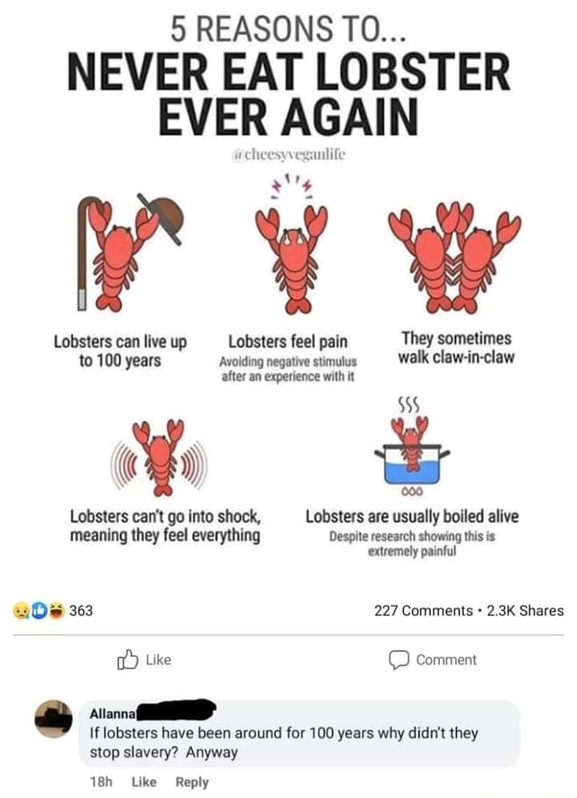 5 REASONS TO... NEVER EAT LOBSTER EVER AGAIN Lobsters can live up