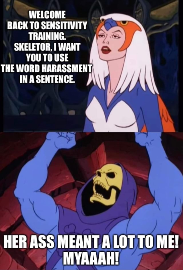 welcome-back-to-sensitivity-training-skeletor-i-want-you-to-use-the