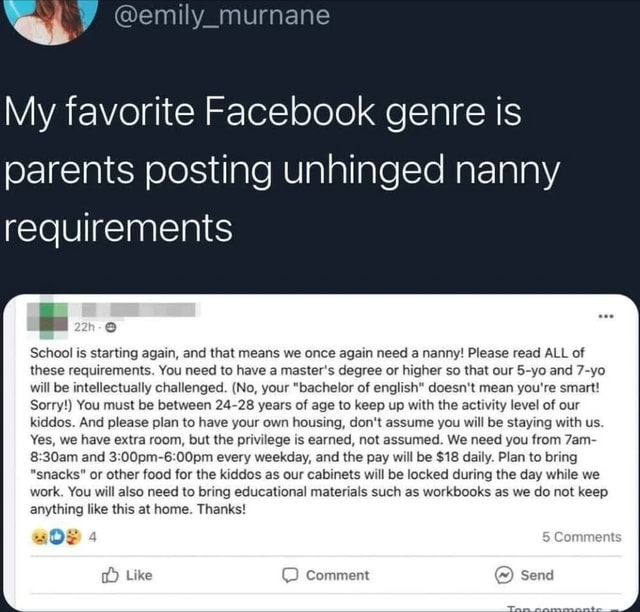 my-favorite-facebook-genre-is-parents-posting-unhinged-nanny