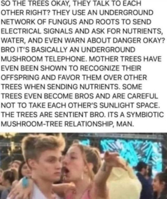 SO THE TREES OKAY, THEY TALK TO EACH OTHER RIGHT? THEY USE AN