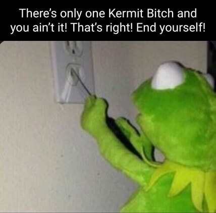 There's only one Kermit Bitch and you ain't it! That's right! End ...