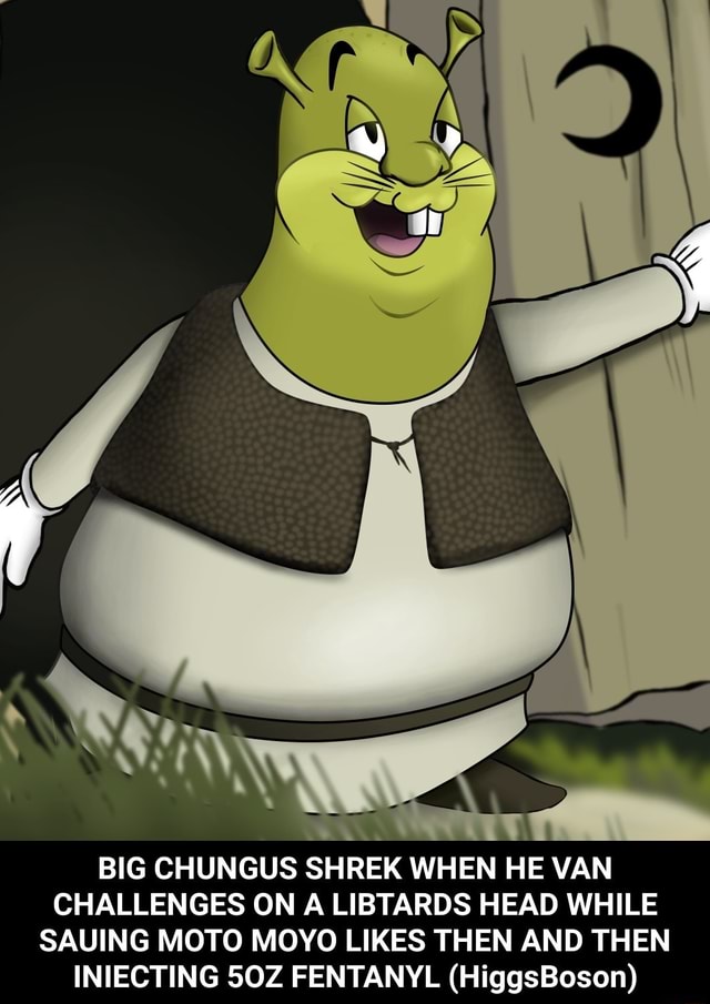 Pokemon shrek o moto