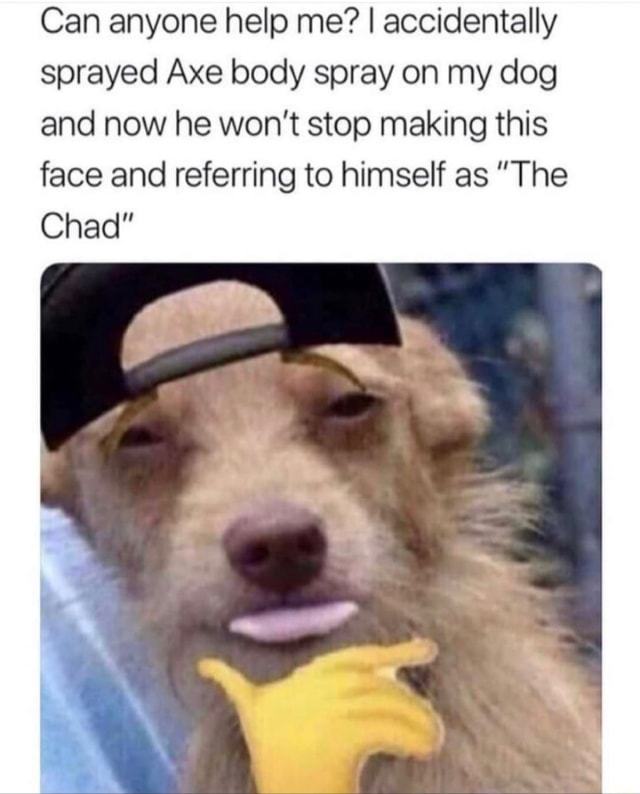 Can anyone help me? I accidentally sprayed Axe body spray on my dog and