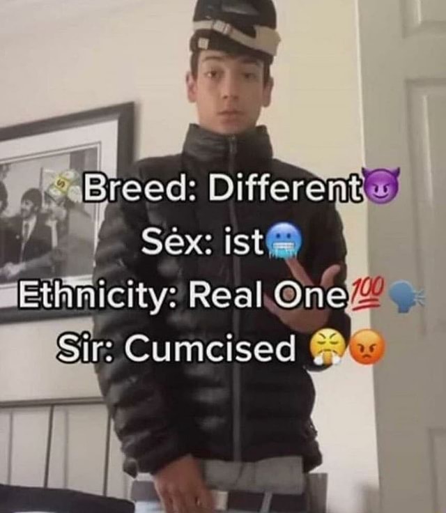 Breed: Differeit! Sex: ity? Real Sirs Cumcised - iFunny