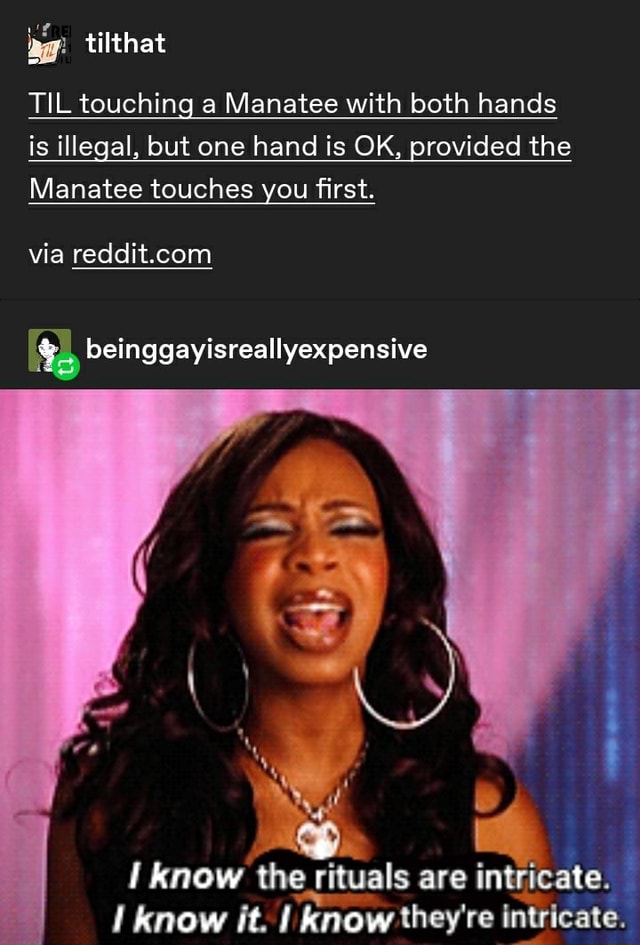 H3 TIL touching a Manatee with both hands is illegal, but one hand is