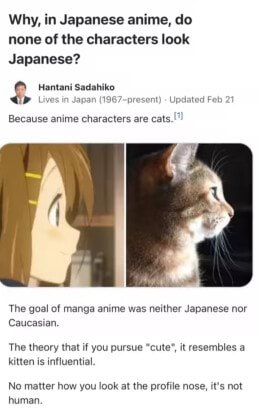 35 Best Anime Cat Girl Characters (Ranked)