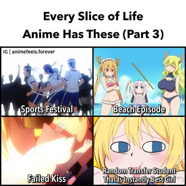 Every Slice Of Life Anime Has These Part 3 Ig I Animefeelsforever Ifunny 0947