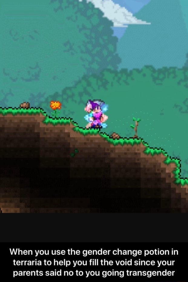 When you use the gender change potion in terraria to help you fill the