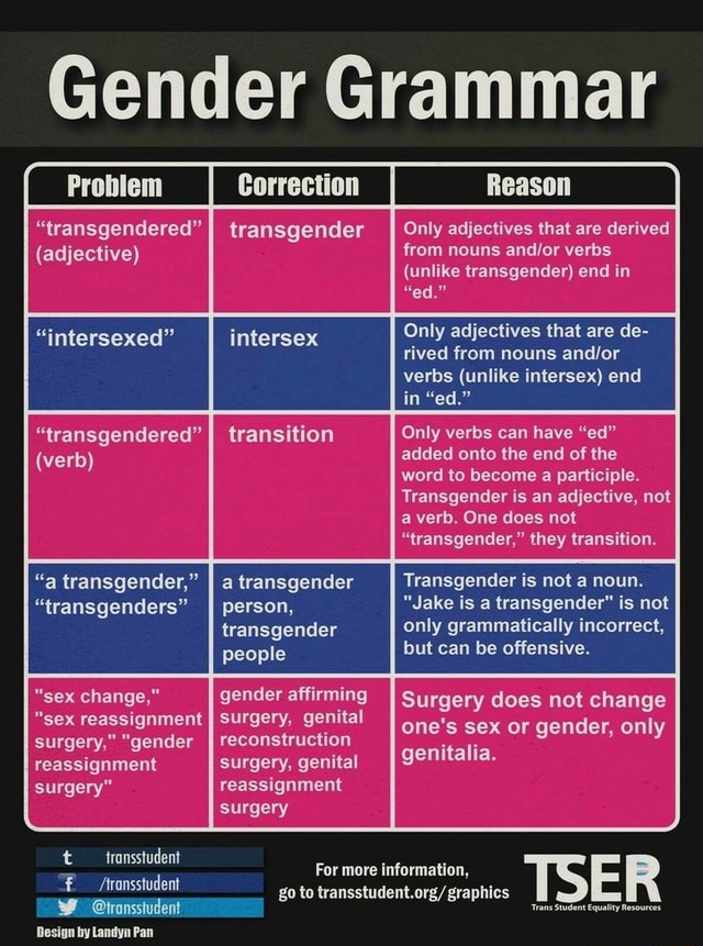 gender-grammar-transgendered-adjective-genitalia-transgendered-a-transgender