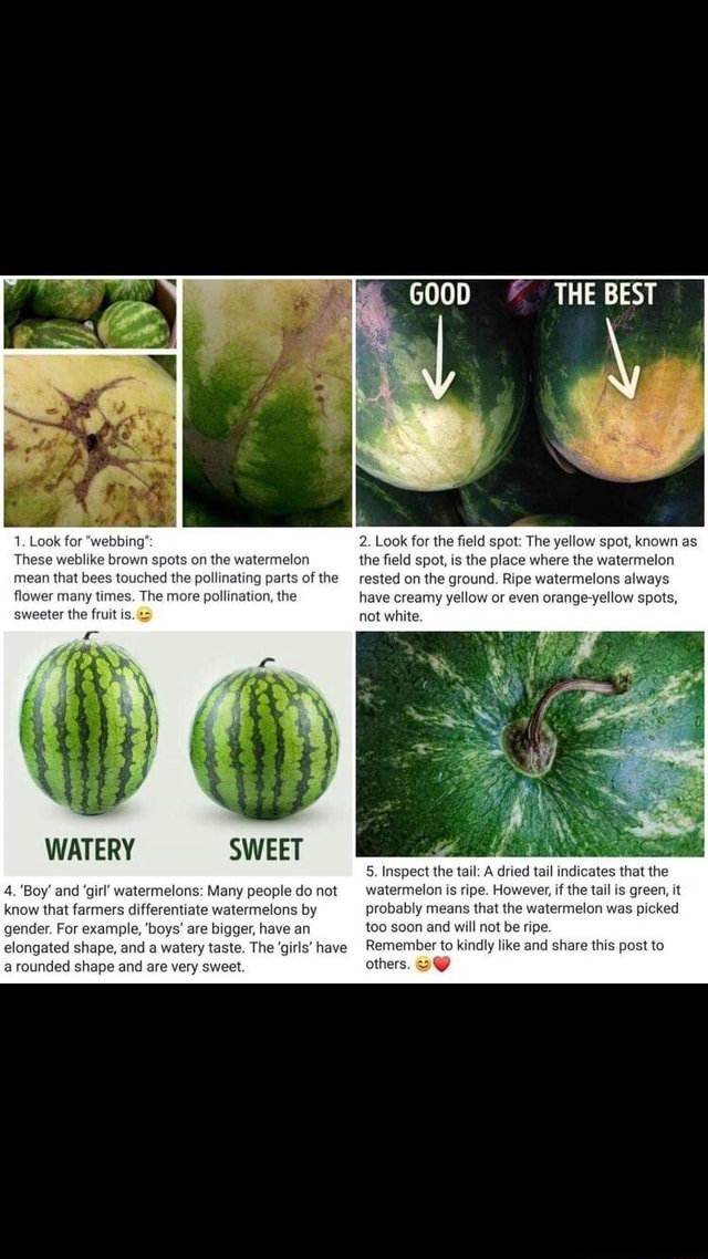 1. Look for 'webbing' These weblike brown spots on th mean that bees