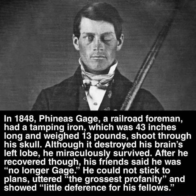 In 1848, Phineas Gage, a railroad foreman, had a tamping iron, which