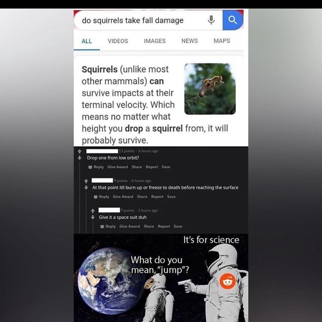 Do squirrels take fall damage ALL Squirrels (unlike most other mammals) can survive impacts at