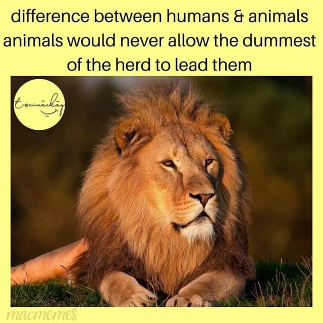 Difference between humans & animals animals would never allow the ...