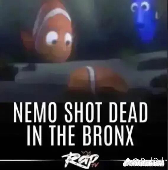 Nemo Shot Dead In The Bronx Ifunny