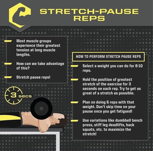 Most muscle groups experience their greatest tension at long muscle ...
