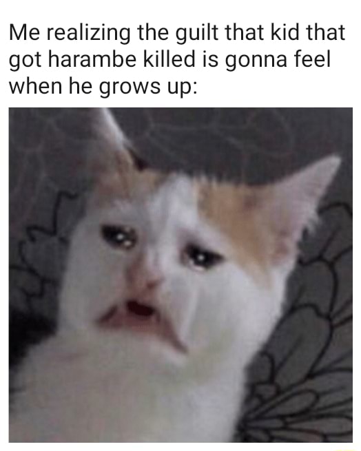 Me realizing the guilt that kid that got harambe killed is gonna feel ...