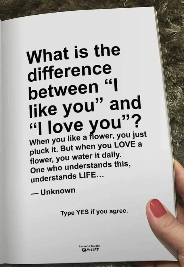 What is the difference between like you" and love ou'? When you like a flower, you just pluck it