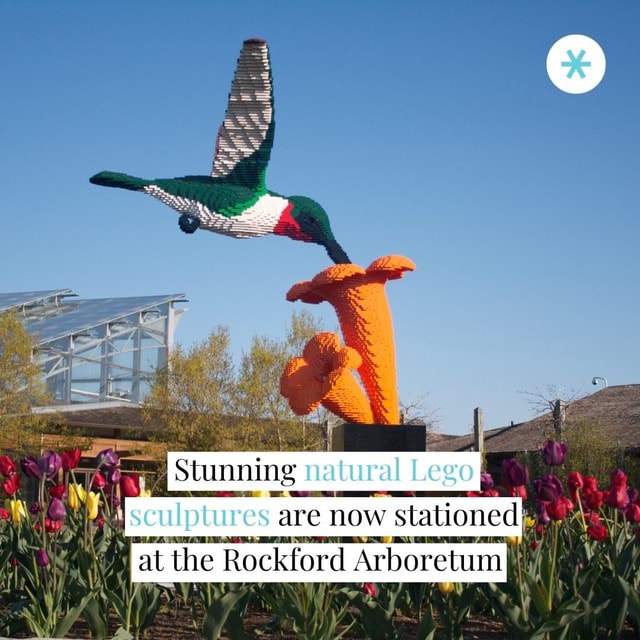 Stunning natural Lego sculptures are now stationed at the Rockford