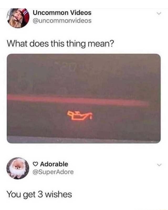 What does this thing mean? Adorable You get 3 wishes iFunny