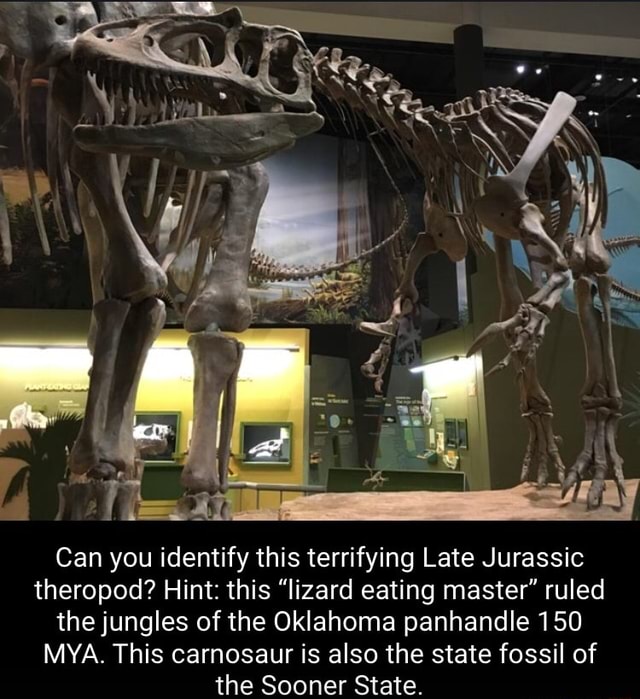 Can you identify this terrifying Late Jurassic theropod? Hint this