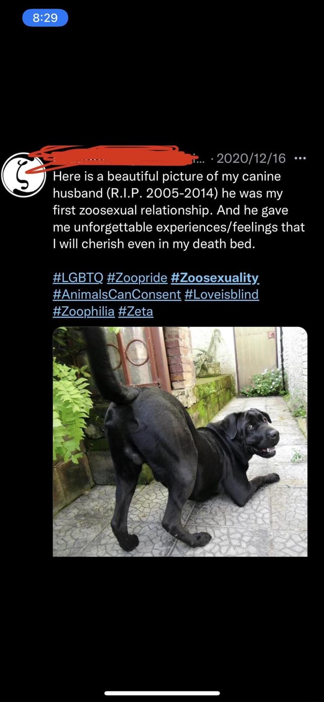 Here Is A Beautiful Picture Of My Canine Husband R I P 2005 2014 He here-is-a-beautiful-picture-of-my-canine-husband-r-i-p-2005-2014-he