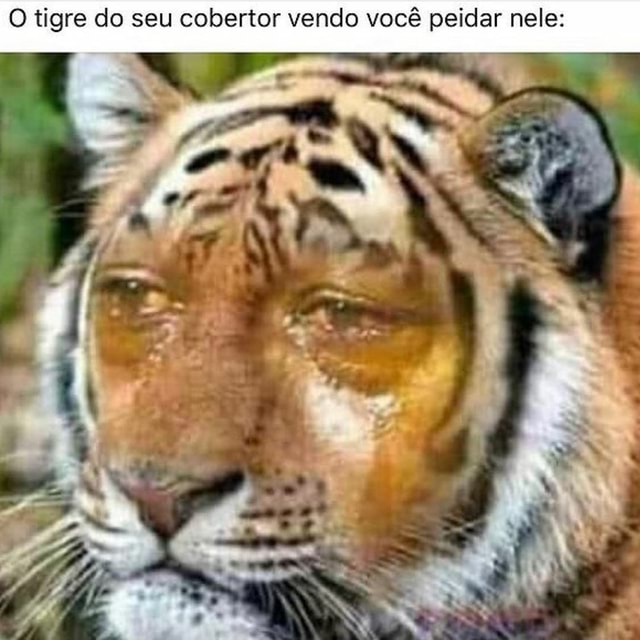 Memes de imagem tlYZRga98 por MLK_piranha: 1 comentário - )