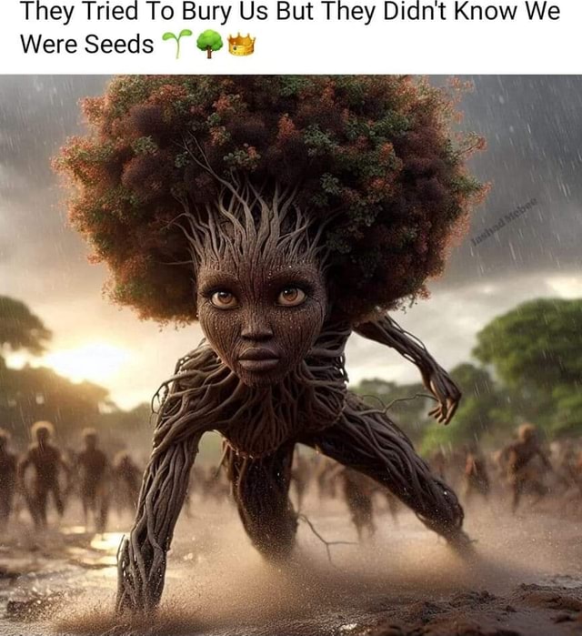They Tried To Bury Us But They Didnt Know We Were Seeds America’s