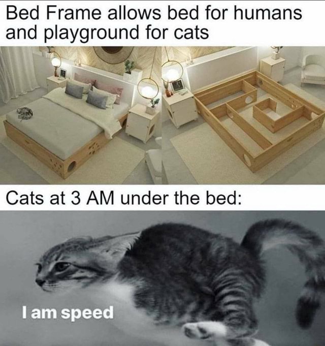 Bed Frame allows bed for humans and playground for cats Cats at 3 AM