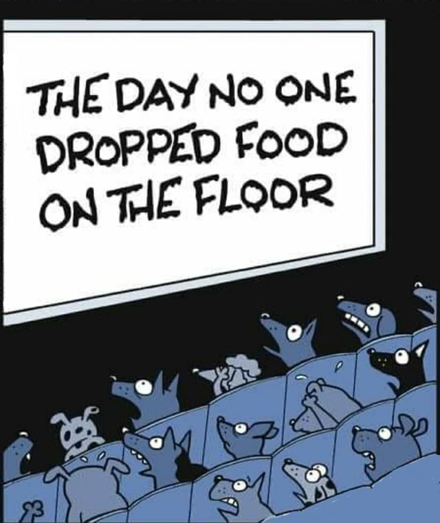 THE DAY No ONE DROPPED FOOD ON THE FLOOR seo.title