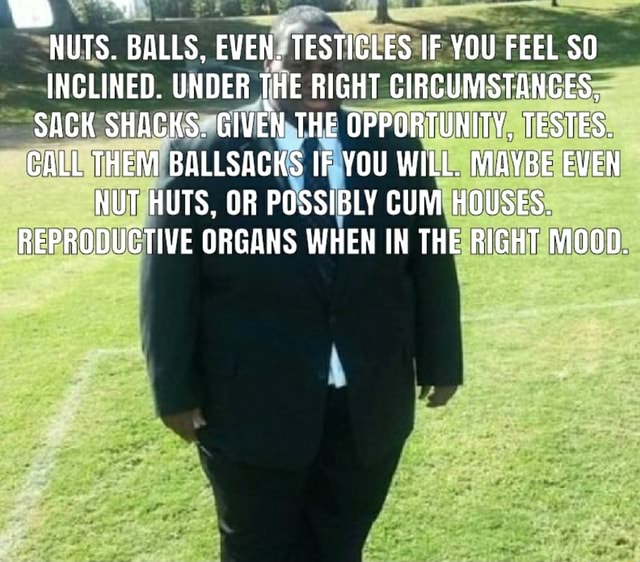 nuts-balls-even-testicles-if-you-feel-so-inclined-under-the-right