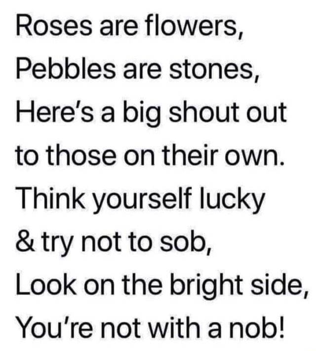 Roses are flowers, Pebbles are stones, Here's a big shout out to those on their own. Think
