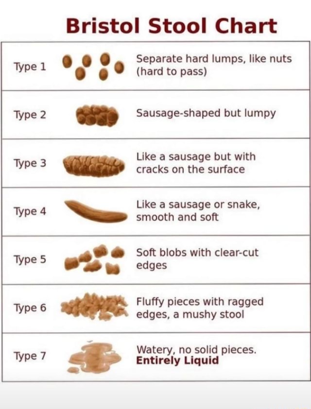 Bristol Stool Chart Separate hard lumps, like nuts (hard to pass ...