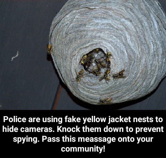 Police are using fake yellow jacket nests to hide cameras. Knock them