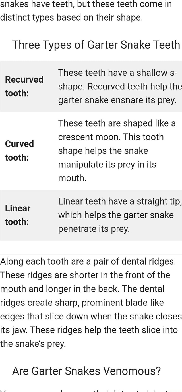 Snakes have teeth, but these teeth come in distinct types based on