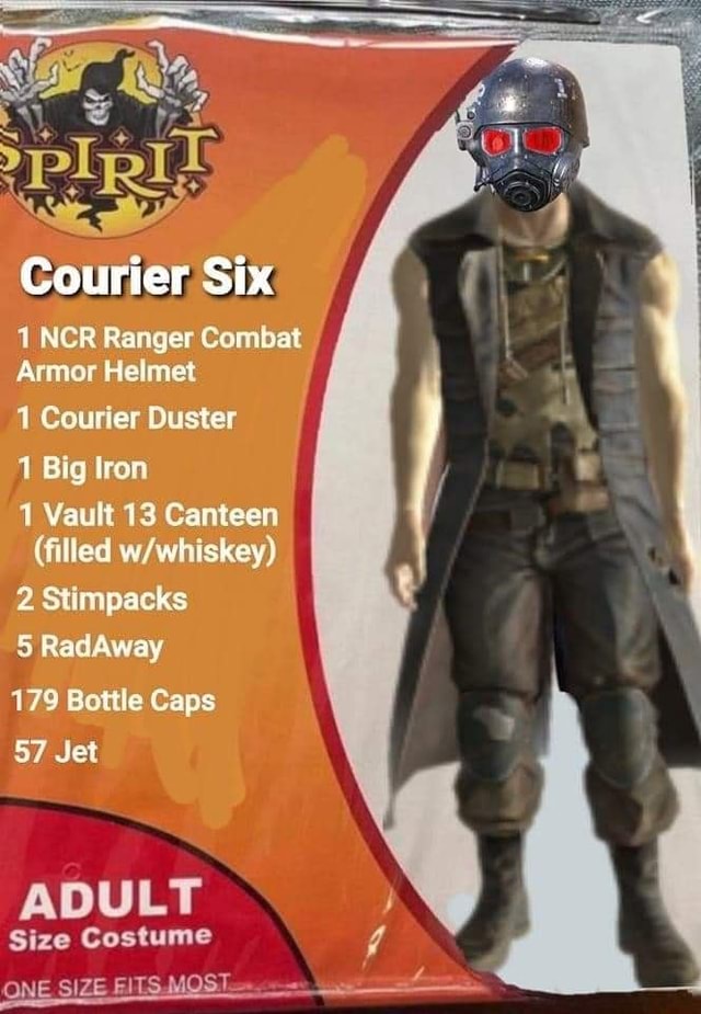 Courier Six 1 NCR Ranger Combat Armor Helmet 1 Courier Duster 1 Big