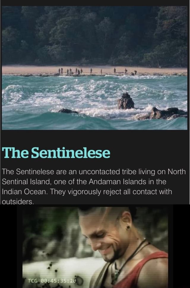 Sentinelese Labeled Description - The Sentinelese The Sentinelese are an uncontacted tribe ...