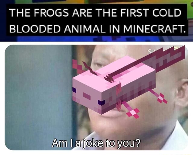 THE FROGS ARE THE FIRST COLD BLOODED ANIMAL IN MINECRAFT. Am lajeke to