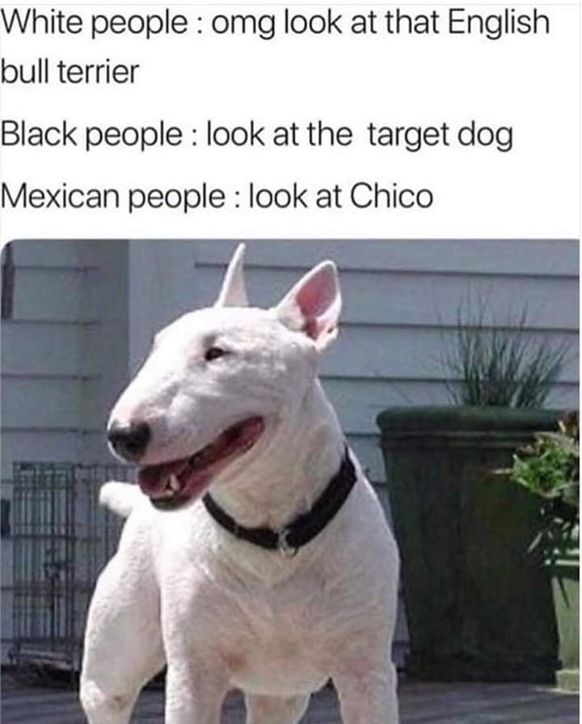 what kind of dog is chico from next friday