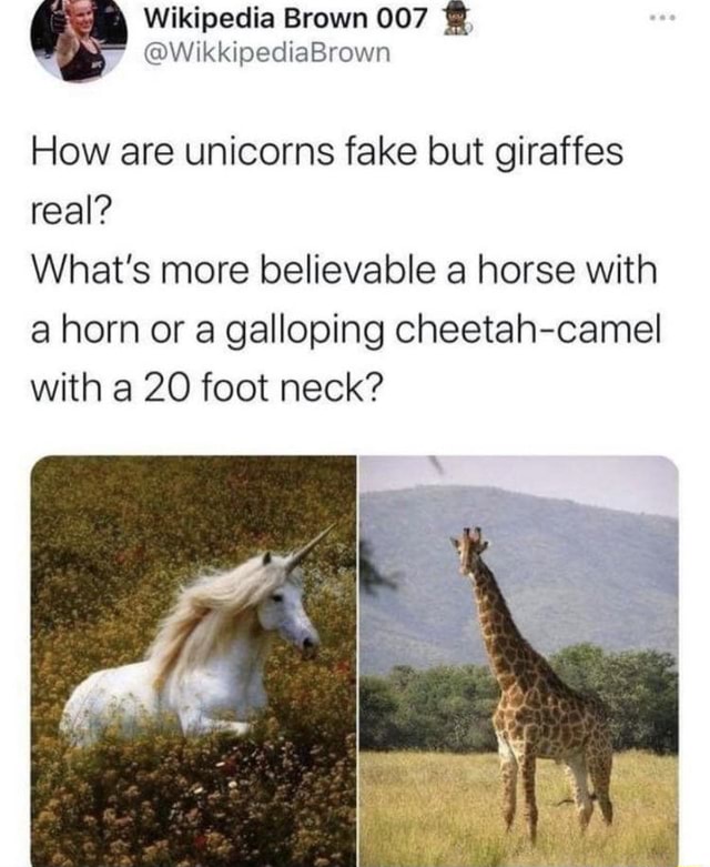 How are unicorns fake but giraffes real? What's more believable a horse