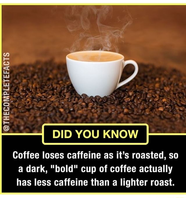 DID YOU KNOW Coffee loses caffeine as it’s roasted, so a dark, 