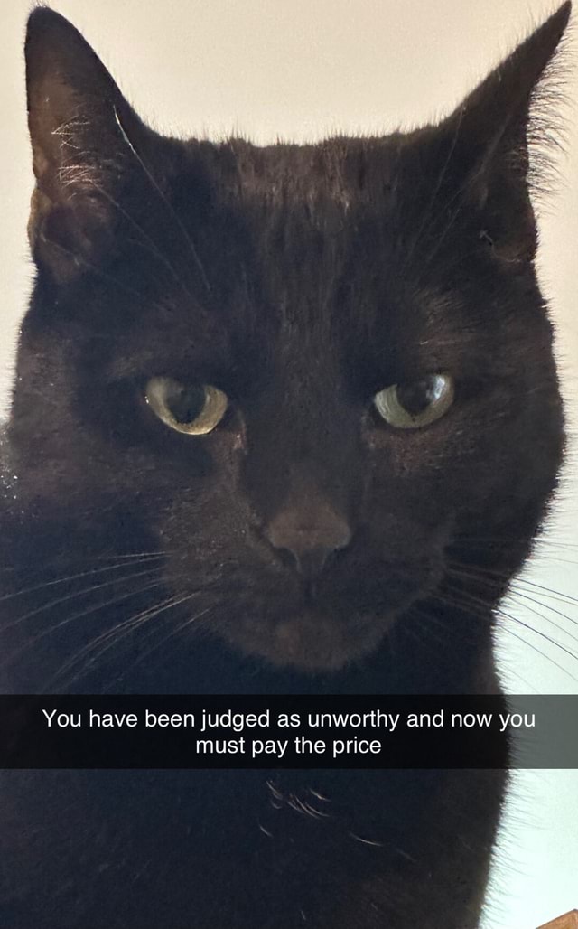 You have been judged as unworthy and now you must pay the price - iFunny