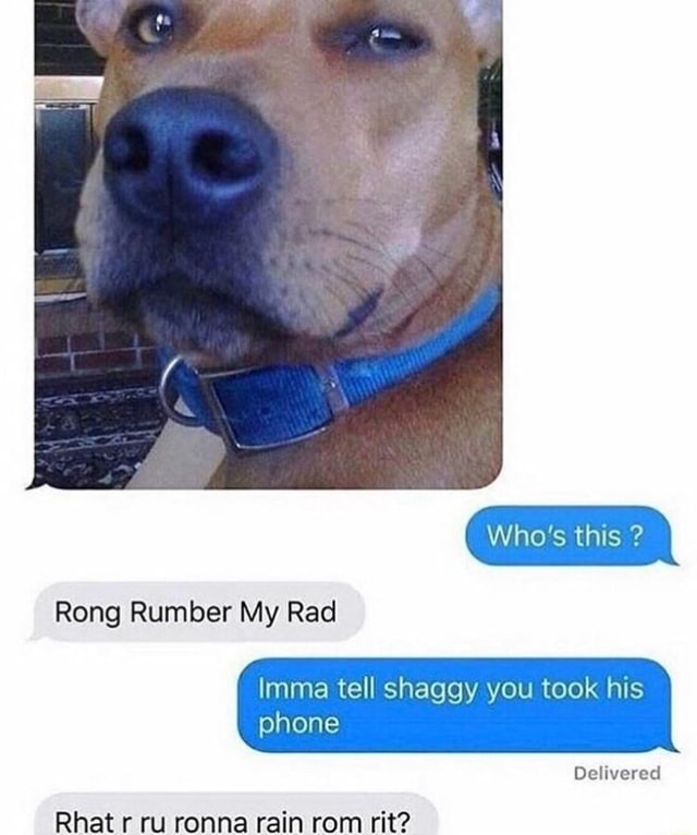 Imma Tell Shaggy You Took His Delivered Rong Rumber My Rad Rhat R Ru Ronna Rain Rom Rit