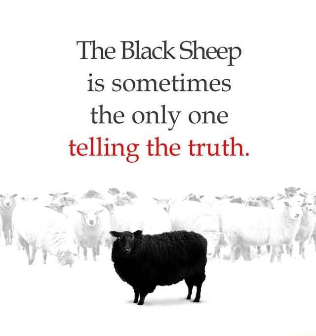 The Black Sheep is sometimes the only one telling the truth. - iFunny