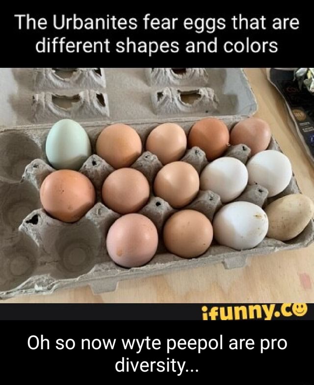 The Urbanites fear eggs that are different shapes and colors Oh so now