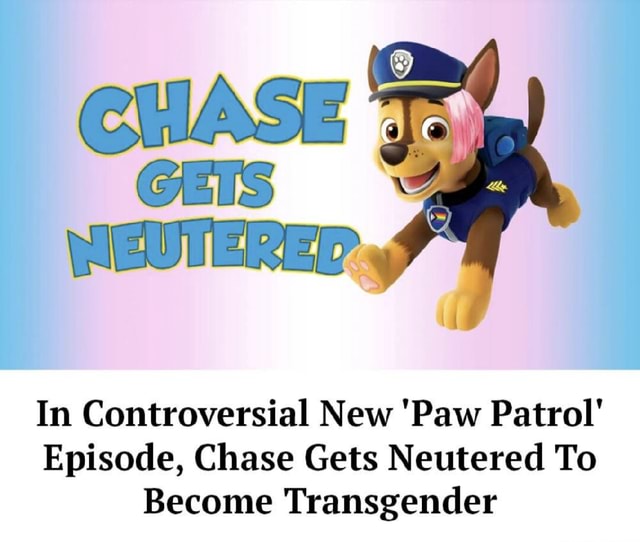 In Controversial New 'Paw Patrol' Episode, Chase Gets Neutered To