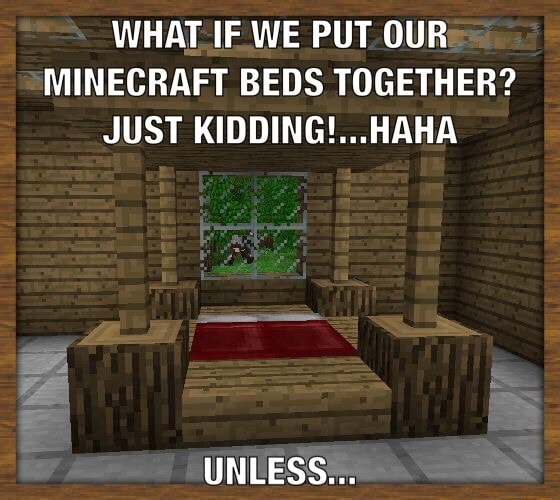 WHAT IF WE PUT OUR MINECRAFT BEDS TOGETHER? JUST KIDDING!...HAHA UNLESS ...