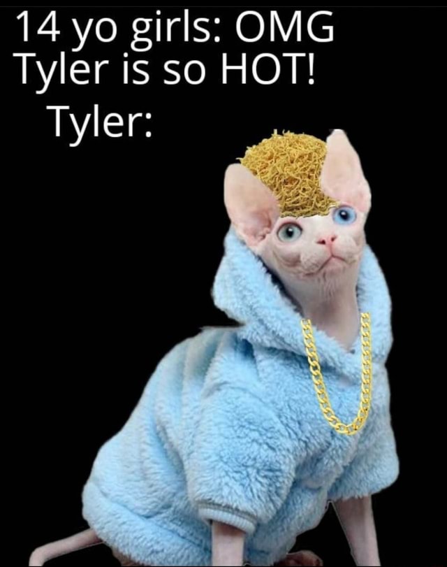 14 yo girls: OMG Tyler is so HOT! 